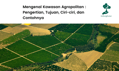 Apa itu kawasan agropolitan?