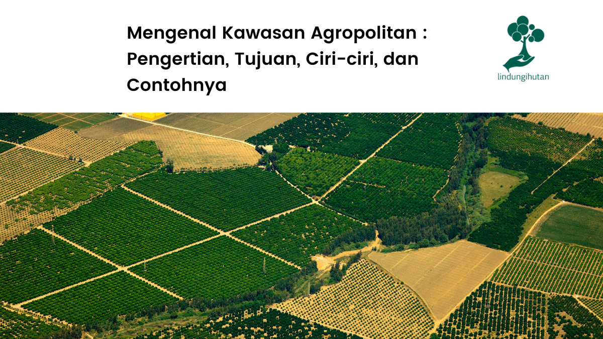 Apa itu kawasan agropolitan?