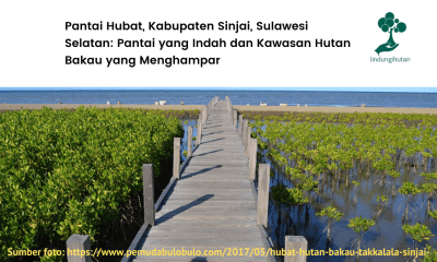 Lokasi penanaman LindungiHutan di Pantai Hubat, Sinjai, Sulawesi Selatan.