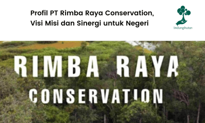 Mengenal lebih jauh Rimba Raya Conservation.