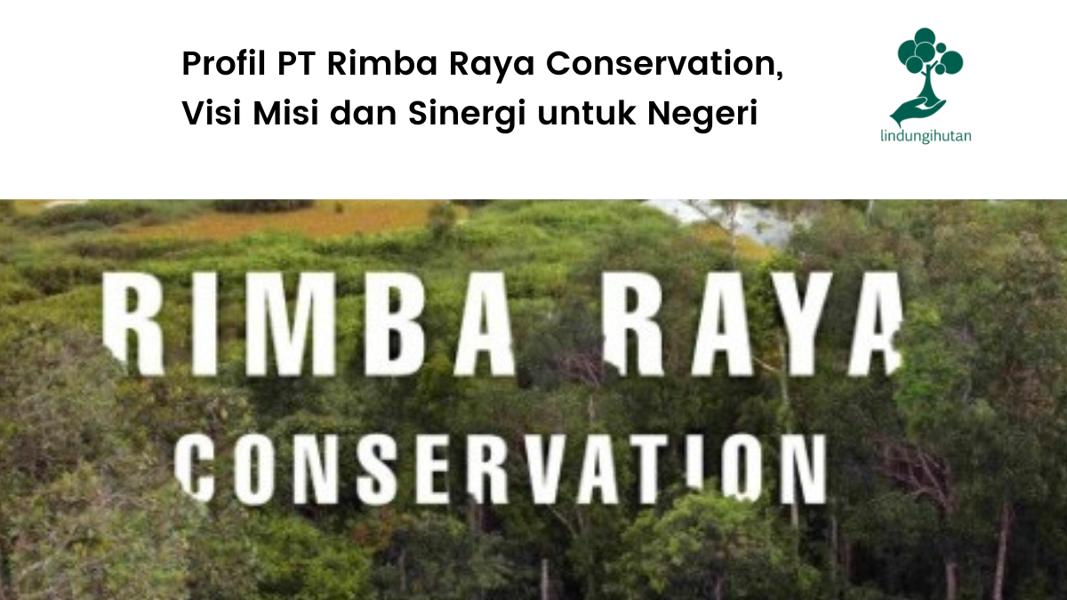 Mengenal lebih jauh Rimba Raya Conservation.