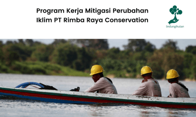 5 program kerja mitigasi perubahan iklim Rimba Raya, apa saja?