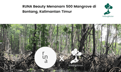 Runa Beauty Inisiasi penanaman mangrove.