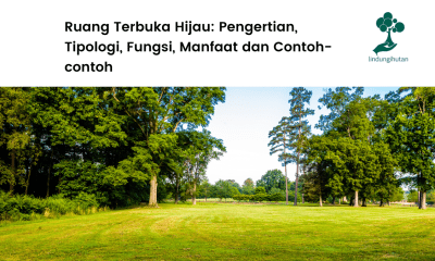 Ruang Terbuka Hijau Pengertian, Tipologi, Fungsi, Manfaat dan Contoh-contoh.