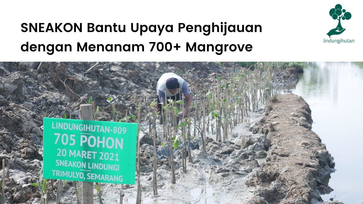 SNEAKON berkolaborasi dengan LindungiHutan untuk jalankan program penghijauan.