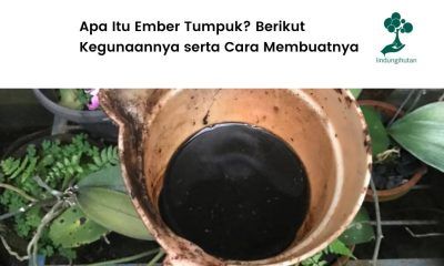 Apa itu ember tumpuk dan cara membuatnya.