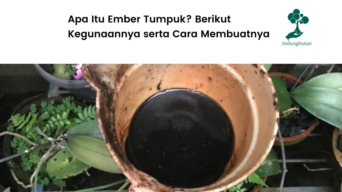 Apa itu ember tumpuk dan cara membuatnya.