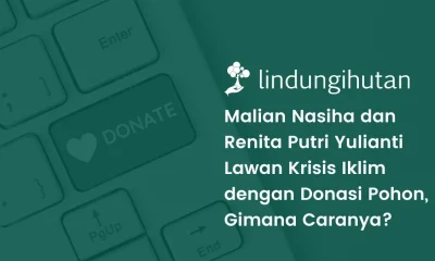 Donasi pohon LindungiHutan