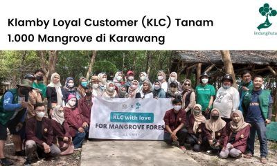 Klamby Loyal Customer (KLC) dan LindungiHutan menanam mangrove di Karawang.