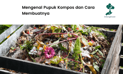 Serba-serbi kompos.