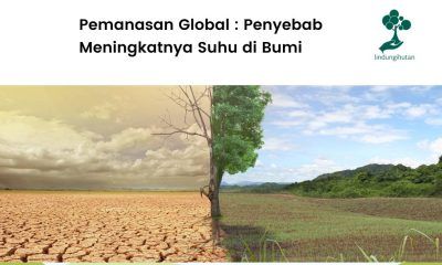 Apa itu pemanasan global? Simak penjelasnnya!