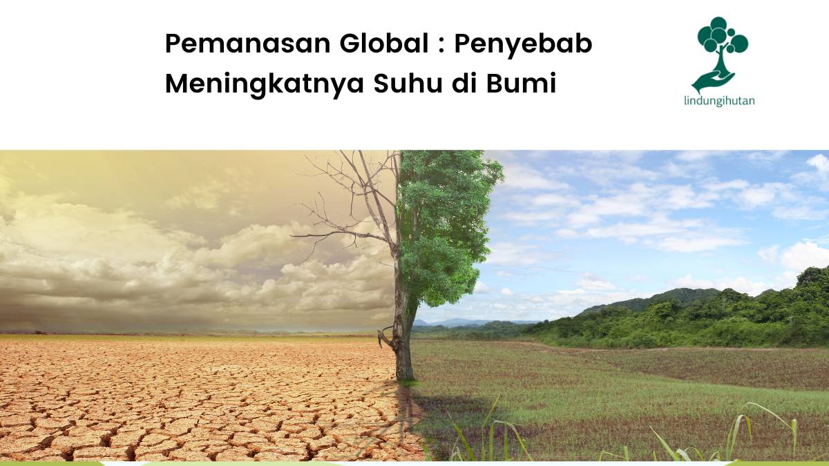 Apa itu pemanasan global? Simak penjelasnnya!