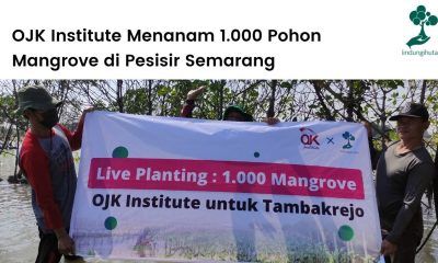 OJK Institute dan LindungiHutan jalankan program Live Planting.