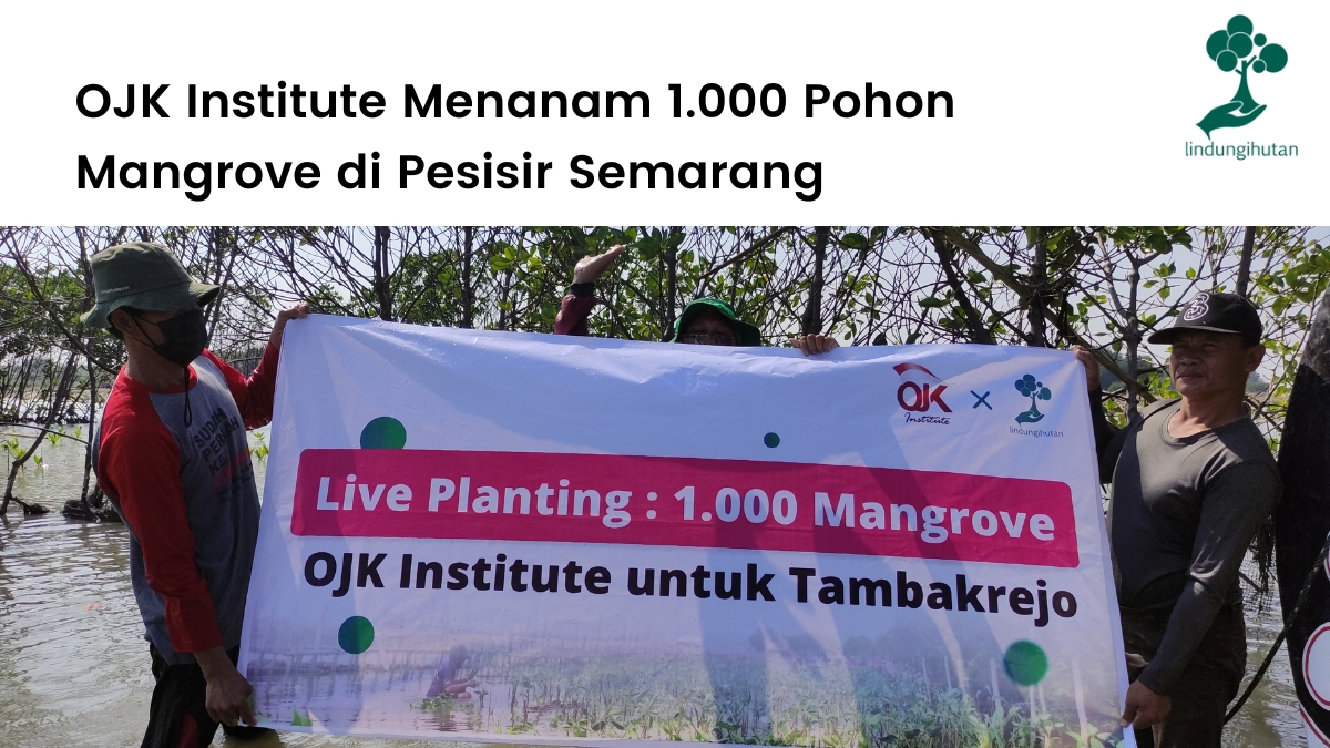 OJK Institute dan LindungiHutan jalankan program Live Planting.