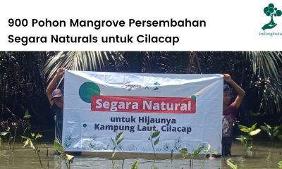 Segara Naturals menanam 900 mangrove di Cilacap