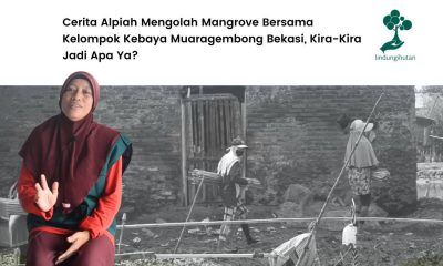 Sepak terjang Alpiah membuat olahan mangrove dikenal masyarakat.