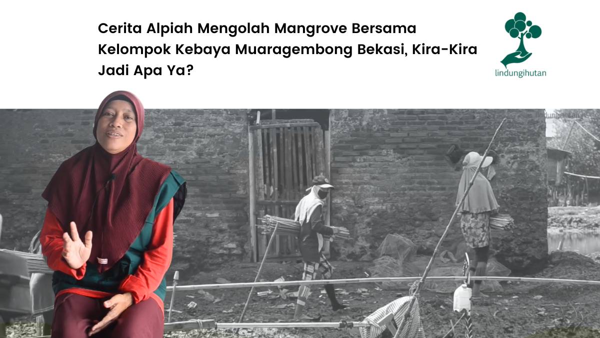 Sepak terjang Alpiah membuat olahan mangrove dikenal masyarakat.