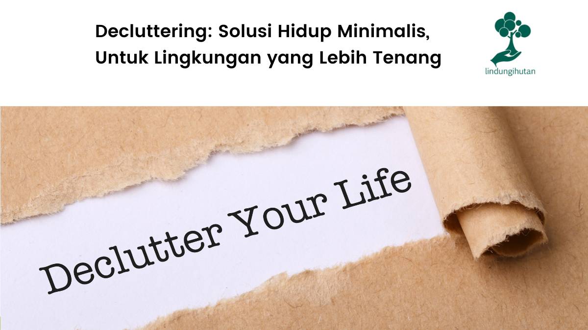 Mengenal decluttering.