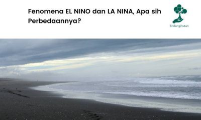 Serba-serbi tentang El Nino dan La Nina.