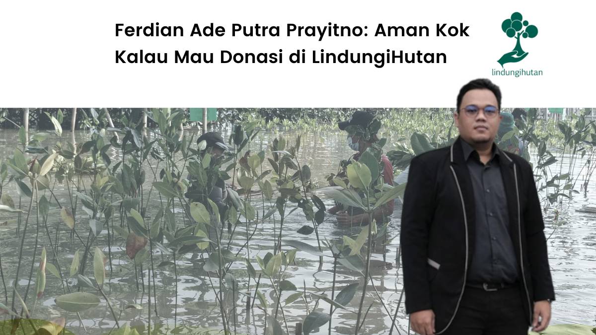 Cari tahu apakah donasi di LindungiHutan aman?