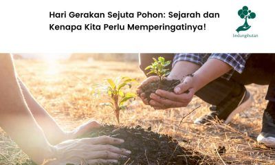 Sejarah dan tujuan hari gerakan sejuta pohon.