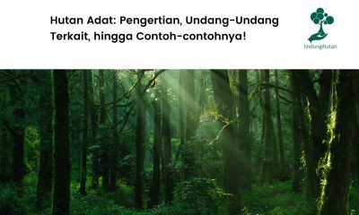 Pengertian hutan adat.