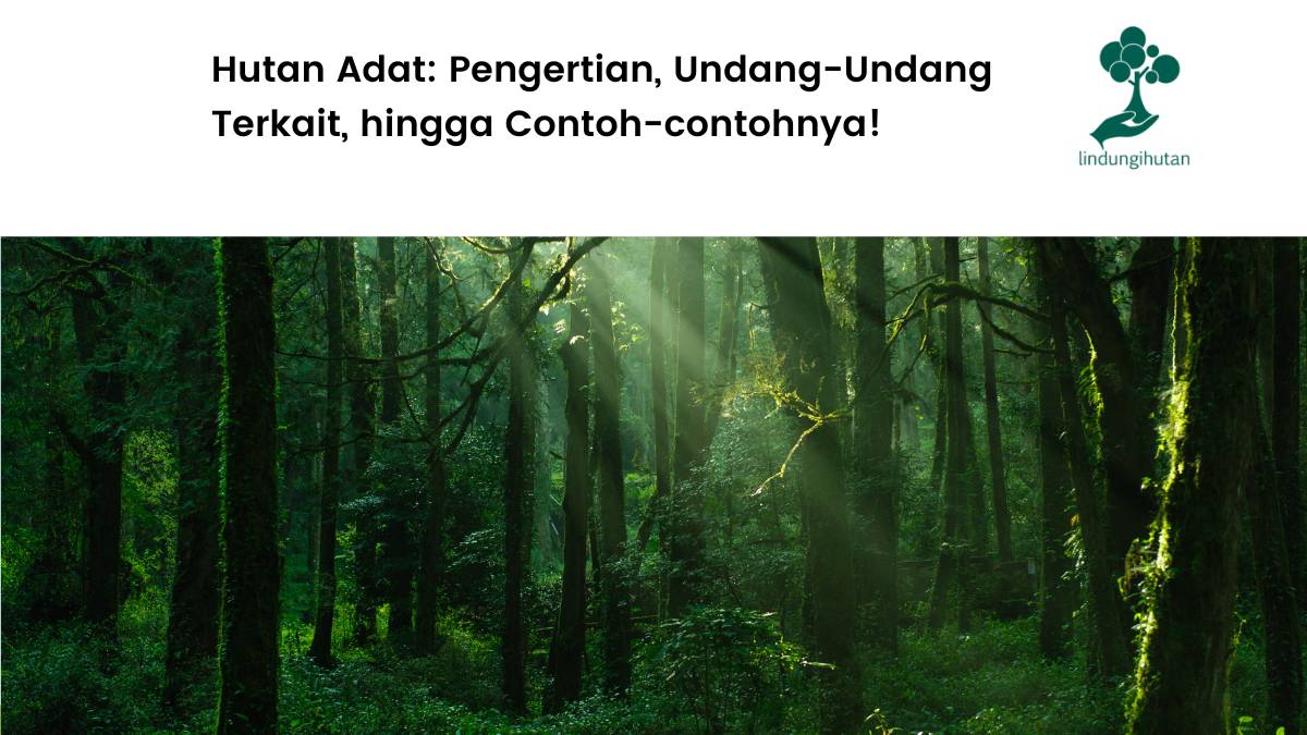 Pengertian hutan adat.