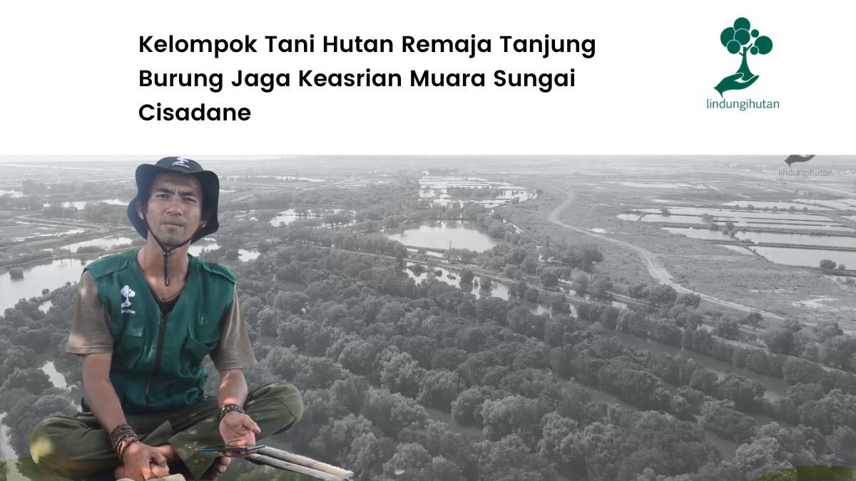 geliat kelompok tani hutan di muara cisadane.