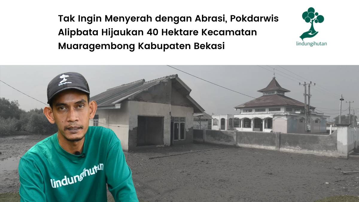 Upaya bersama masyarakat Muaragembong lawan abrasi.