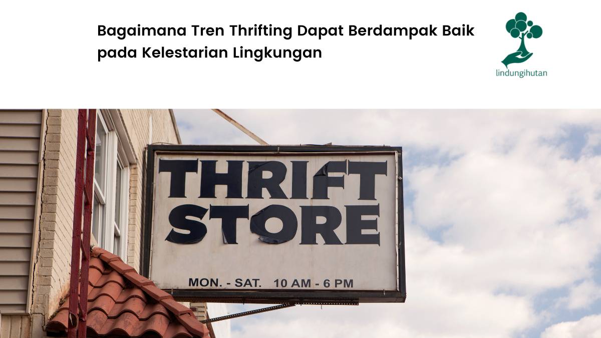 fenomena thrifting dan dampaknya terhadap lingkungan.