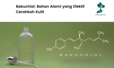 Mengenal bakuchiol dan manfaatnya.