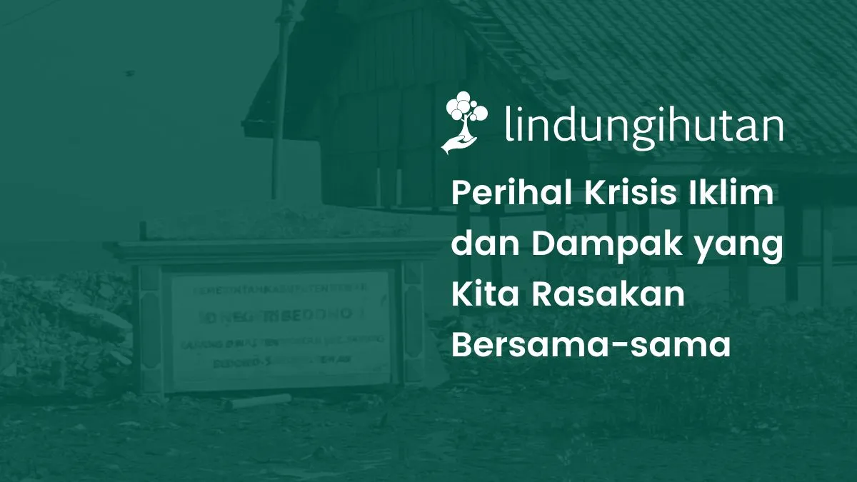 Dampak krisis iklim