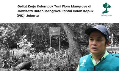 Aksi penghijauan di Pantai Indah Kapuk.