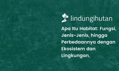 Habitat adalah
