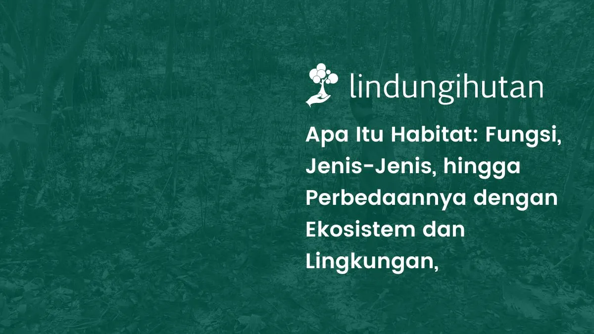 Habitat adalah