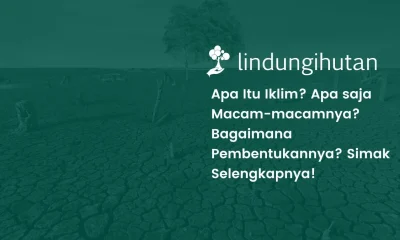 Iklim