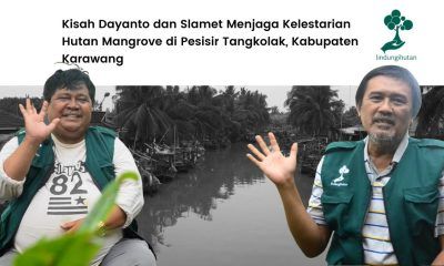Kisah Dayanto dan Slamet Hijaukan Pesisir Tangkolak.