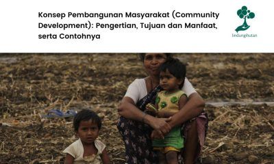 Community development