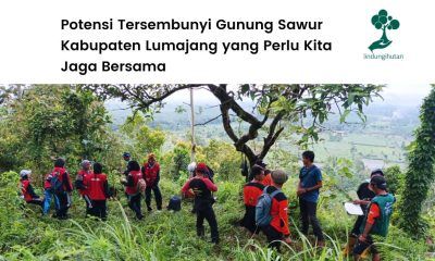 Mengenal lebih dekat Gunung Sawur.