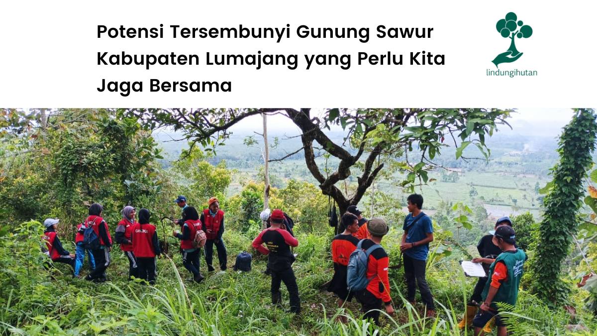 Mengenal lebih dekat Gunung Sawur.