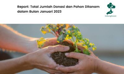 Total donasi pohon LindungiHutan Bulan Januari 2023.