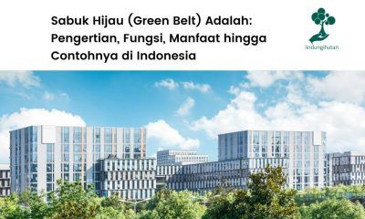 Pengertian sabuk hijau atau green belt