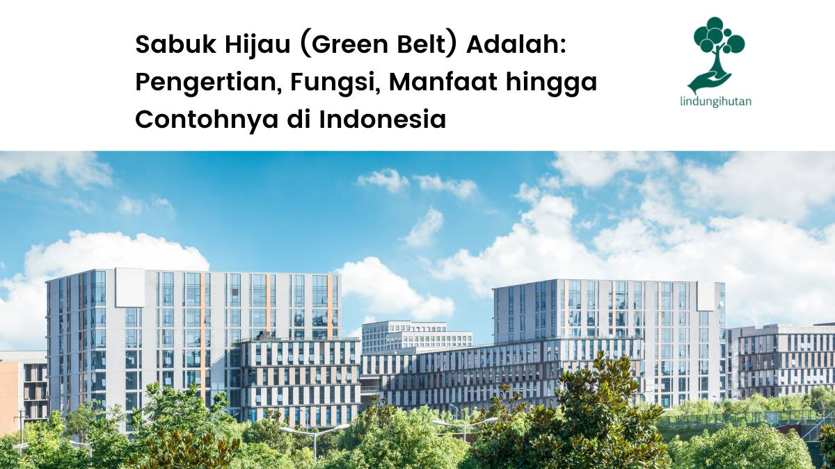 Pengertian sabuk hijau atau green belt