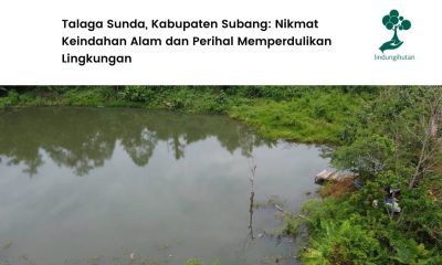 Kelestarian Talaga Sunda patut diperharikan