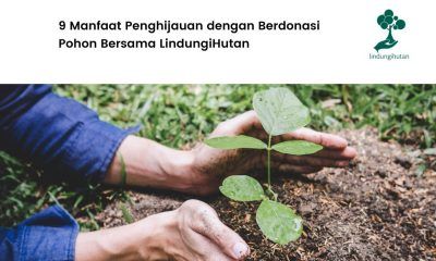 9 manfaat penghijauan bersama LindungiHutan
