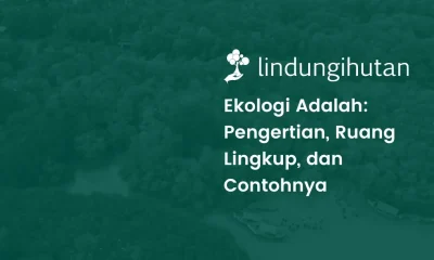 ekologi