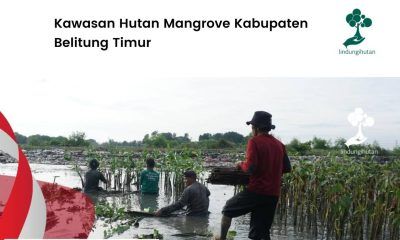 Mengenal kabupaten belitung timur lebih dekat.