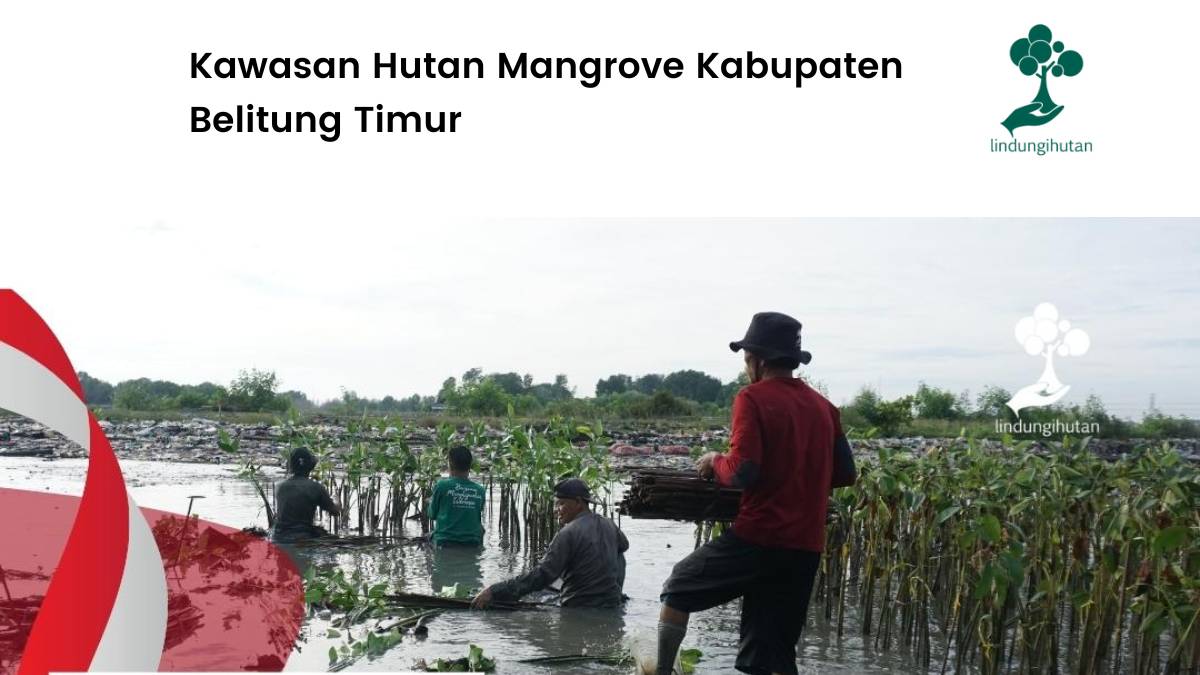 Mengenal kabupaten belitung timur lebih dekat.