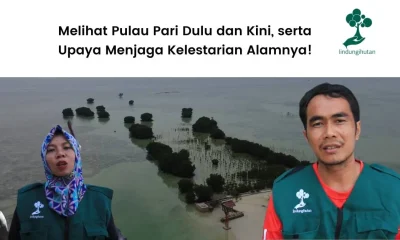 Kisah Edi Mulyono dan Teh Aas dari Pulau Pari Kepulauan Seribu