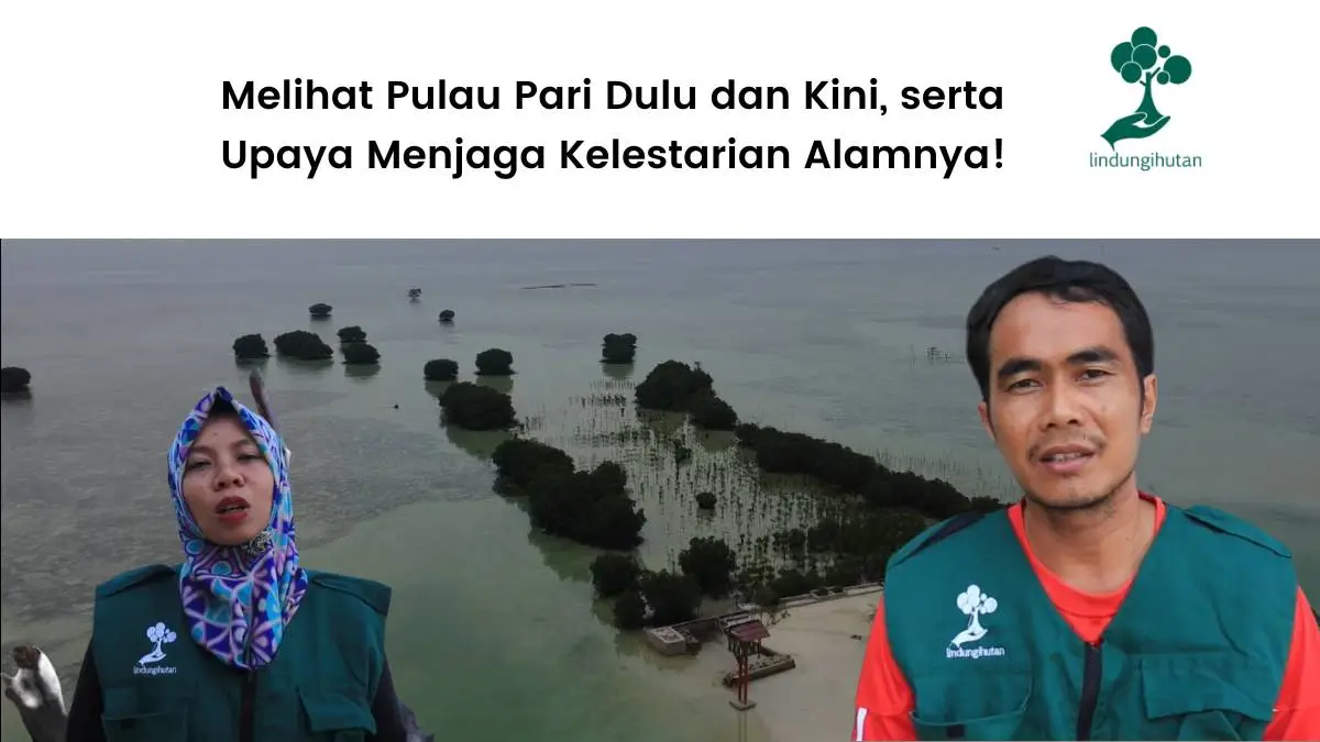 Kisah Edi Mulyono dan Teh Aas dari Pulau Pari Kepulauan Seribu